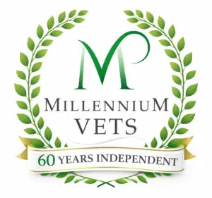 60 years logo