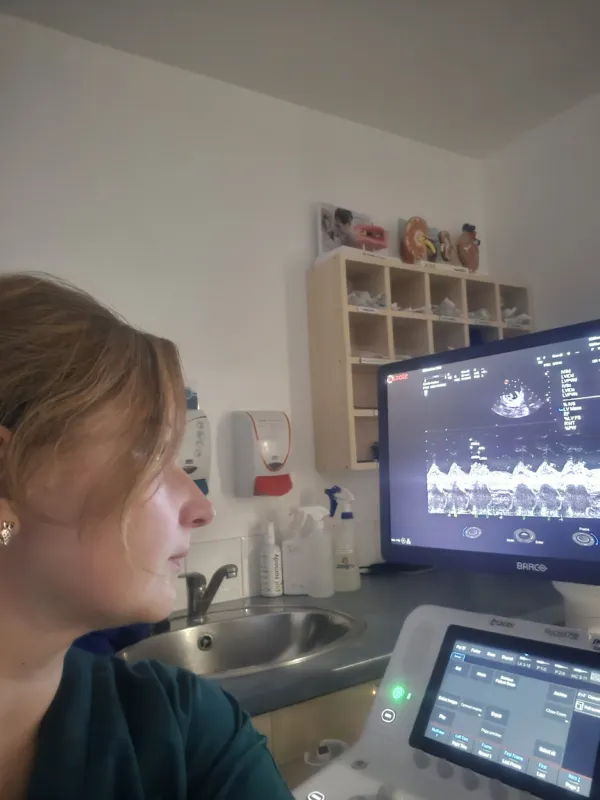 Lana Heart Scan