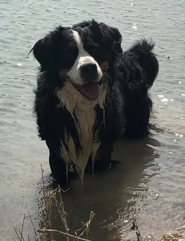Flint