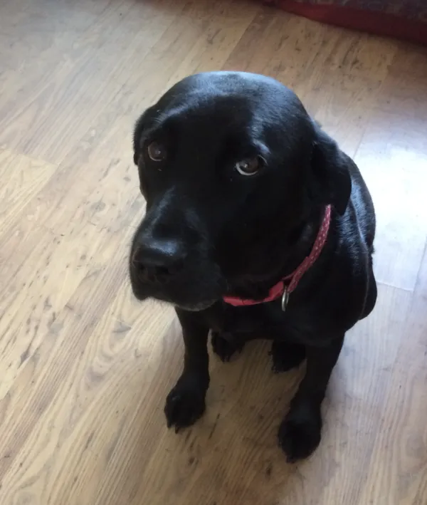 Millie