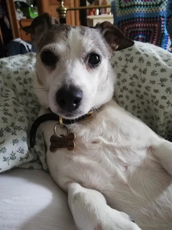Lola