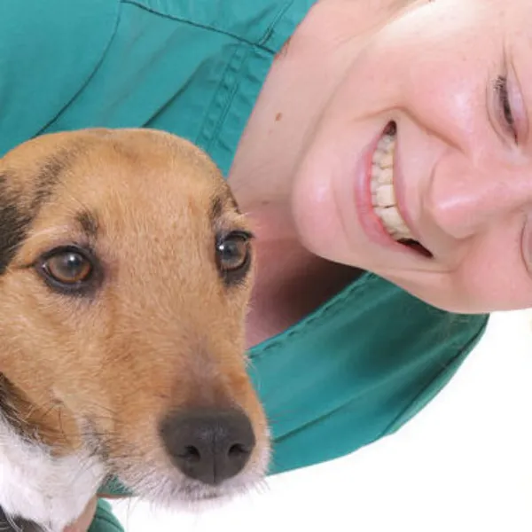 Dog and vet 2025 05 21 181744 njnd