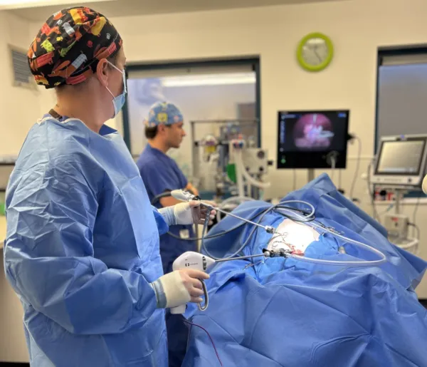 Lap spay for website